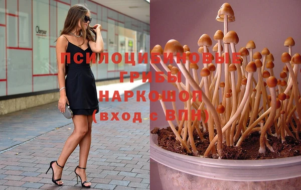 spice Ладушкин